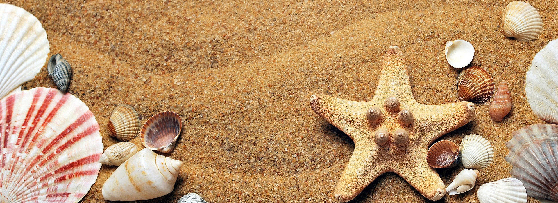 5 Ventajas de reservar hoy tus vacaciones en Ibiza 2019