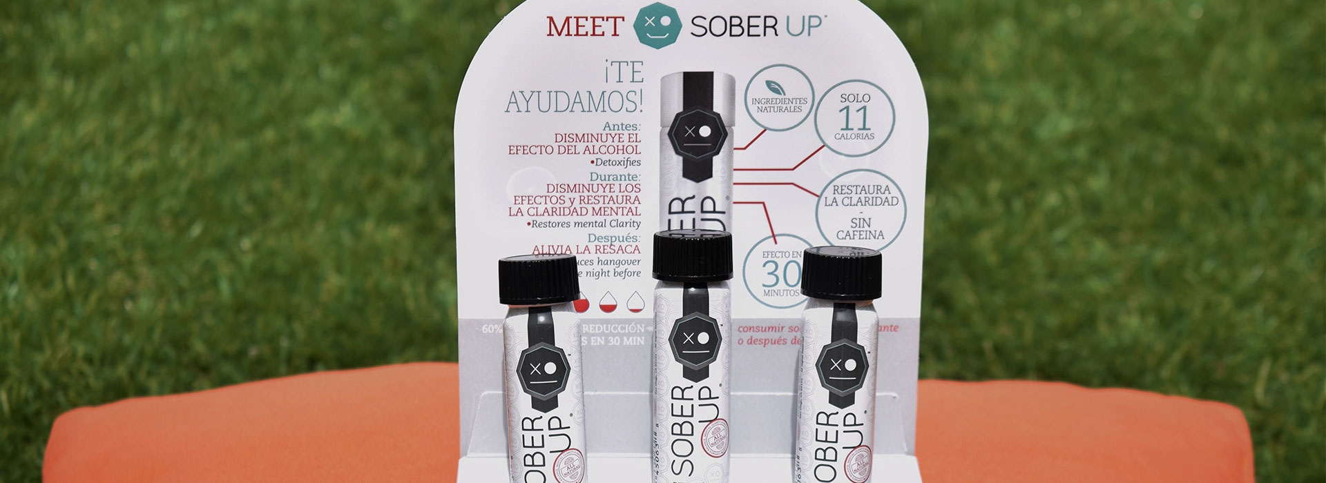 Sober Up